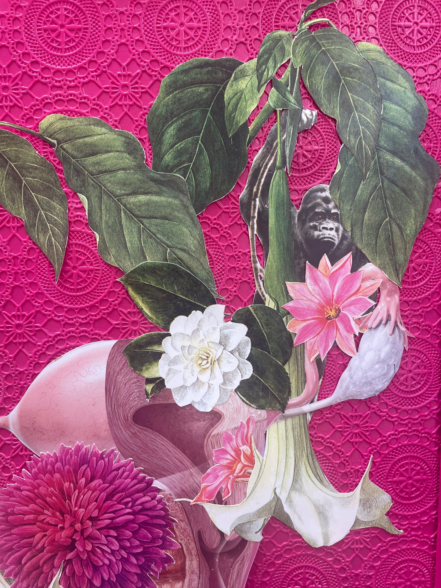 Cut, Paste and Perimenopause
