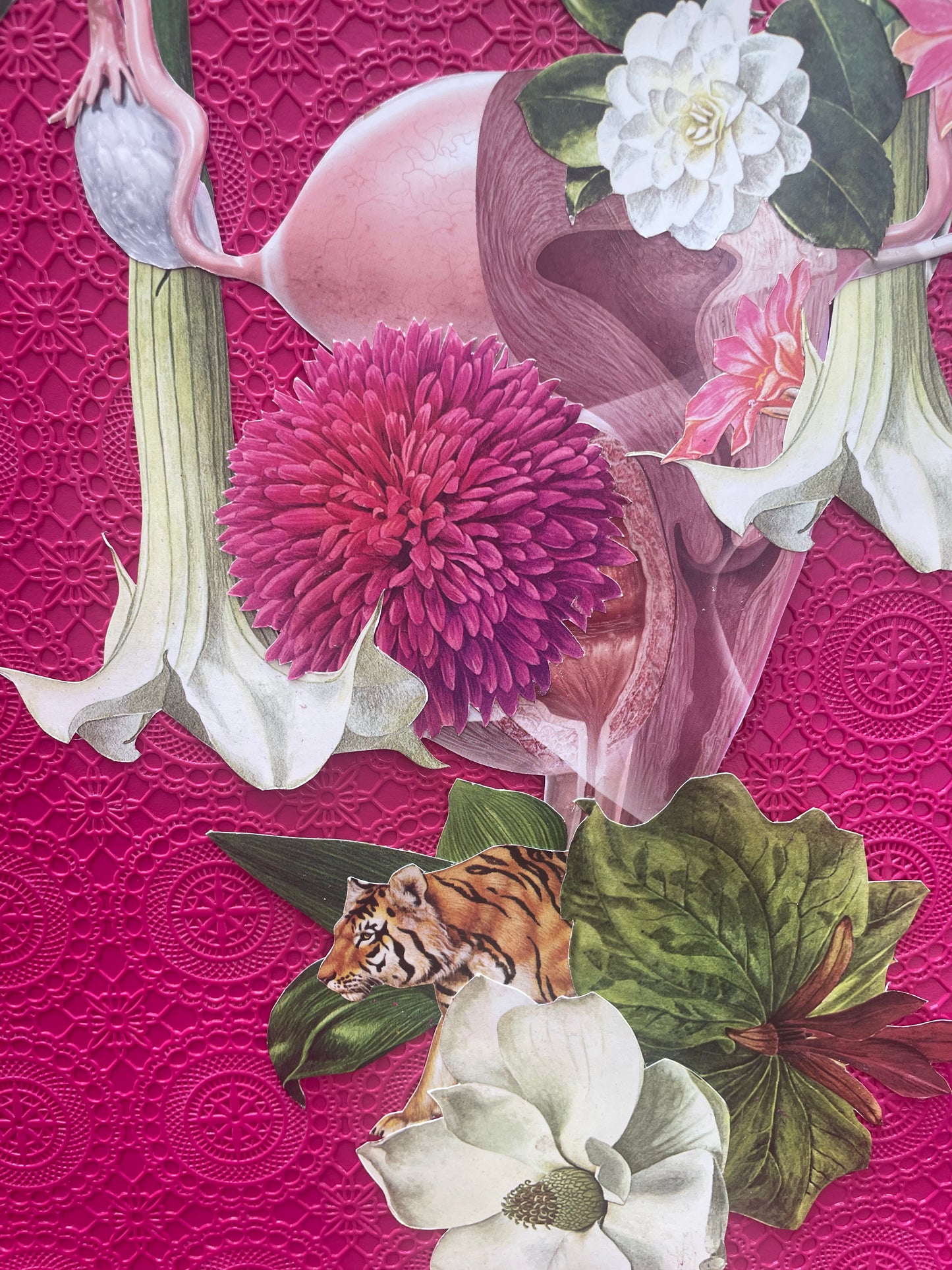 Cut, Paste and Perimenopause